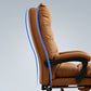 High Back Executive Chair Modern Desk Chair with Adjustable Arms