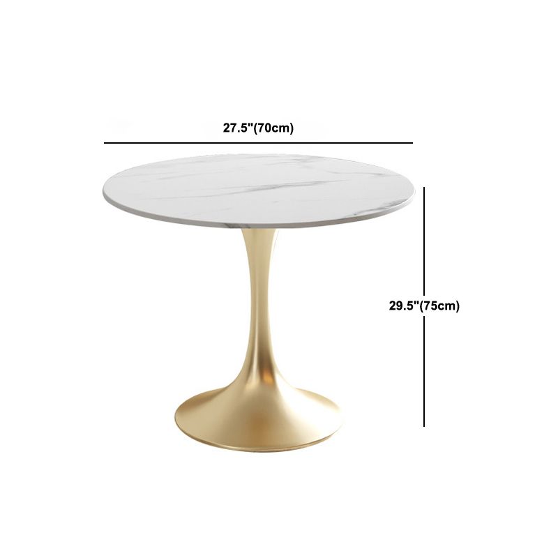 Glam Round Sintered Stone Dining Table Set 1/2/3/4/5 Pieces Dining Set for Home Use Clearhalo 'Dining Room Sets' 'Dining Tables & Seating' 'dining_room_set' 'furn' 'furn_dining_room_set' 'Furniture' 'Kitchen & Dining Furniture' 1200x1200_319bce75-3e5e-47b3-9de8-60b54d65b246