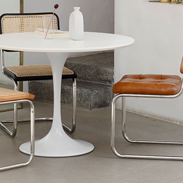Round Tulip Base Modern Dining Table White Fixed Table with Sintered Stone Clearhalo ' dining_table' 'Dining Tables & Seating' 'Dining Tables' 'furn' 'furn_dining_table' 'Furniture' 'furniture_dining_table' 'Kitchen & Dining Furniture' 'kitchen&dining_furn' 'kitchen' 'kitchen_dining_table' 1200x1200_31bc957e-e428-4843-b9fd-760f1ff3f77c