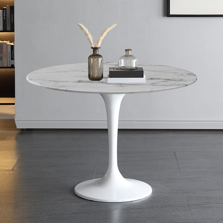 Simplicity Round Dining Table Sintered Stone Table with Tulip Base for Dining Room Clearhalo ' dining_table' 'Dining Tables & Seating' 'Dining Tables' 'furn' 'furn_dining_table' 'Furniture' 'furniture_dining_table' 'Kitchen & Dining Furniture' 'kitchen&dining_furn' 'kitchen' 'kitchen_dining_table' 1200x1200_31f6dac0-af39-4607-9b65-ff46fabc6c5f