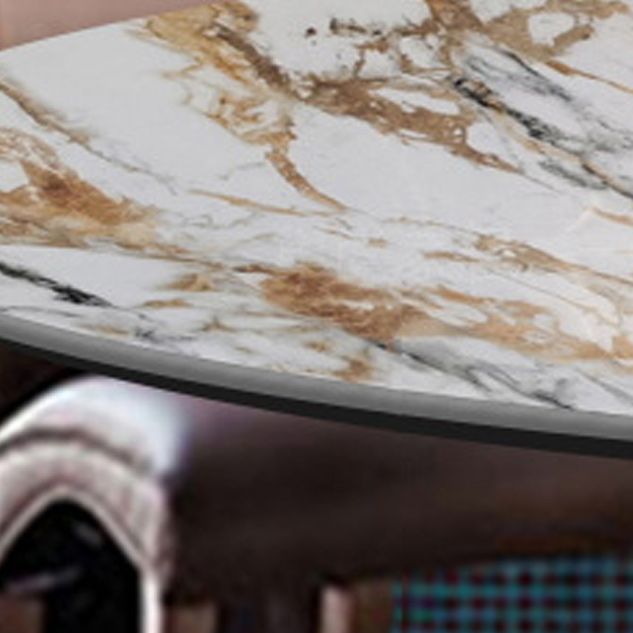 Traditional Luxury Round Dining Table Sintered Stone Top Table with Pedestal Base Clearhalo 'Dining Tables & Seating' 'Dining Tables' 'dining_table' 'furn' 'furn_dining_table' 'Furniture' 'Kitchen & Dining Furniture' 1200x1200_3220672a-f9ad-4a2e-bad5-33dc66938536