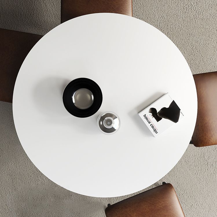 Modern Standard Kitchen Dining Table Wood Round Shape Dining Table with Pedestal Base Clearhalo ' dining_table' 'Dining Tables & Seating' 'Dining Tables' 'furn' 'furn_dining_table' 'Furniture' 'furniture_dining_table' 'Kitchen & Dining Furniture' 'kitchen&dining_furn' 'kitchen' 'kitchen_dining_table' 1200x1200_32762692-32c3-42b1-aaf9-e04c466d4899