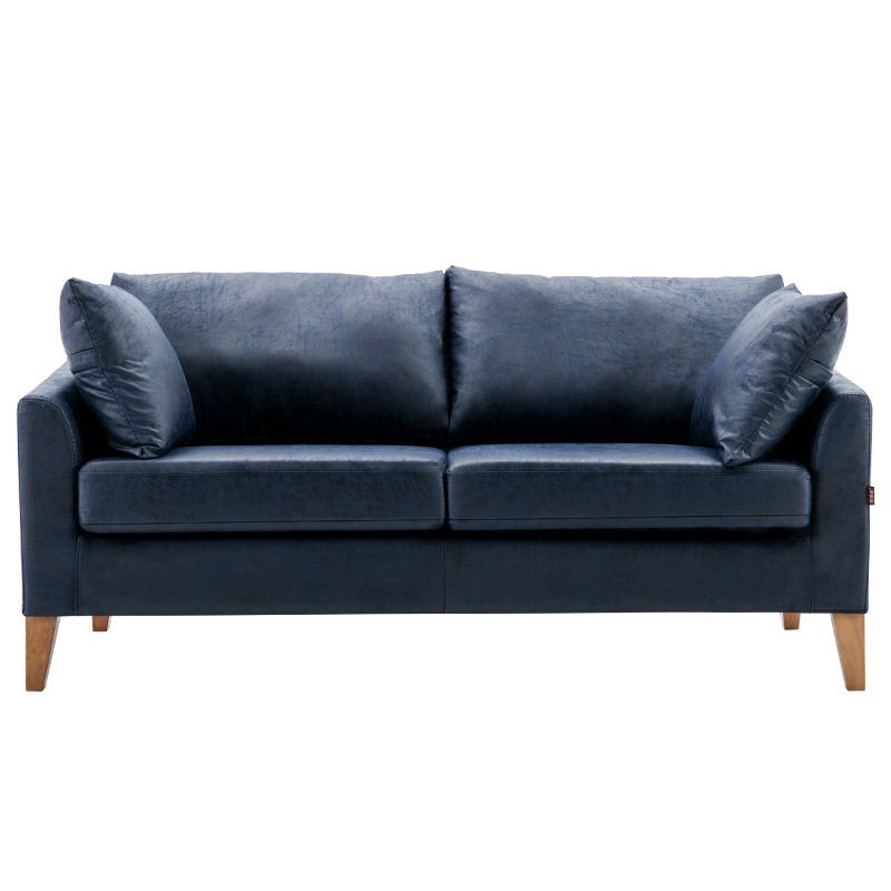 Modern Style Rectangular Sofa with Wooden Base and Namib Cushion Clearhalo 'furn' 'furn_sofas' 'Furniture' 'furniture_sofas' 'kitchen' 'kitchen_sofas' 'Living Room Furniture' 'Sofa' 'sofas' 1200x1200_32771977-1e67-449d-984a-f4a8e1128514