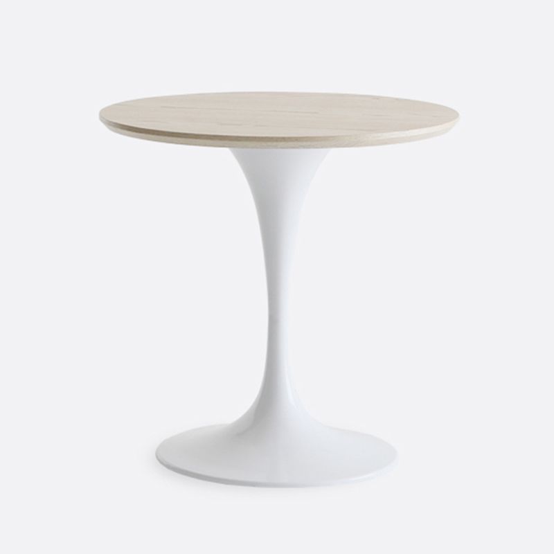 Contemporary Solid Wood Round Shape Dining Table Kitchen Standard Dining Table with Pedestal Base Clearhalo ' dining_table' 'Dining Tables & Seating' 'Dining Tables' 'furn' 'furn_dining_table' 'Furniture' 'furniture_dining_table' 'Kitchen & Dining Furniture' 'kitchen&dining_furn' 'kitchen' 'kitchen_dining_table' 1200x1200_328aa3dd-60a3-4116-b190-6594aa4b3de1