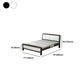 Modern Iron Wire-Grid Bed Frame 36.6" H Black & White Panel Bed with Headboard Clearhalo 'Bedroom Furniture' 'Beds' 'furn' 'furn_beds' 'Furniture' 1200x1200_32a20911-6f9a-4979-8260-6d9098664b60