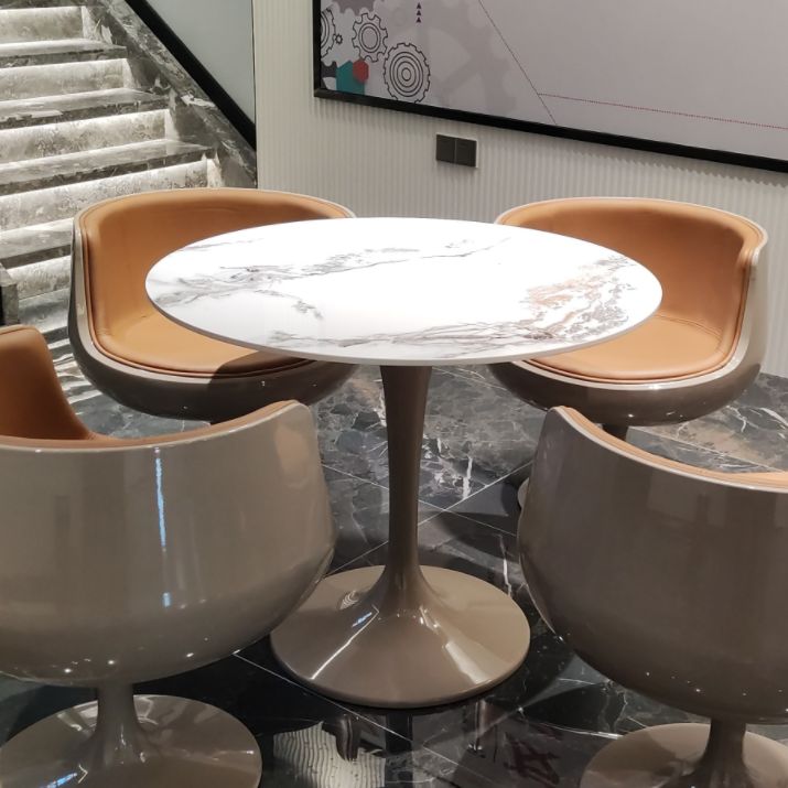Round Shape White Dining Table Sintered Stone Table Modern with Tulip Base Clearhalo ' dining_table' 'Dining Tables & Seating' 'Dining Tables' 'furn' 'furn_dining_table' 'Furniture' 'furniture_dining_table' 'Kitchen & Dining Furniture' 'kitchen&dining_furn' 'kitchen' 'kitchen_dining_table' 1200x1200_32a3a939-1318-426c-97fe-433ea855eba9