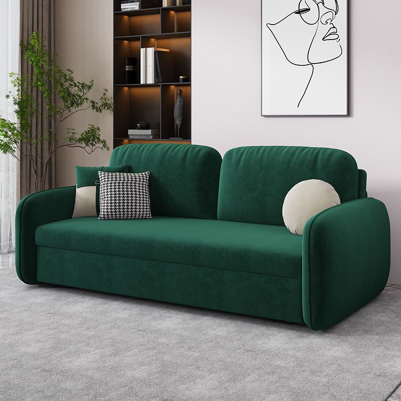31.49" Wide Sleeper Sofa Velvet Detachable Mattress Sofa Bed with Storage