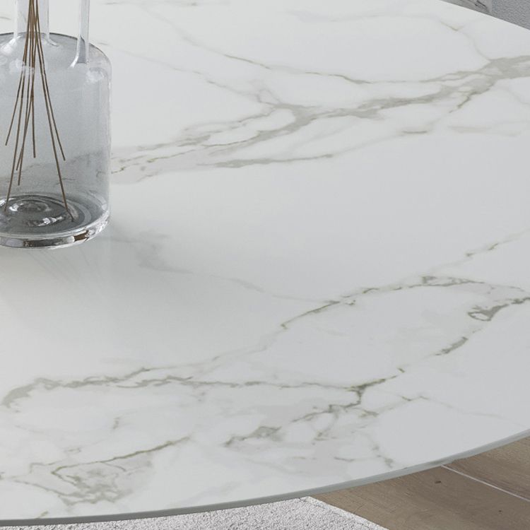 Round Tulip Modern Dining Table White Tone Fixed Table of Sintered Stone Clearhalo ' dining_table' 'Dining Tables & Seating' 'Dining Tables' 'furn' 'furn_dining_table' 'Furniture' 'furniture_dining_table' 'Kitchen & Dining Furniture' 'kitchen&dining_furn' 'kitchen' 'kitchen_dining_table' 1200x1200_32c93559-6d7c-4a58-82e0-f22eea123e94
