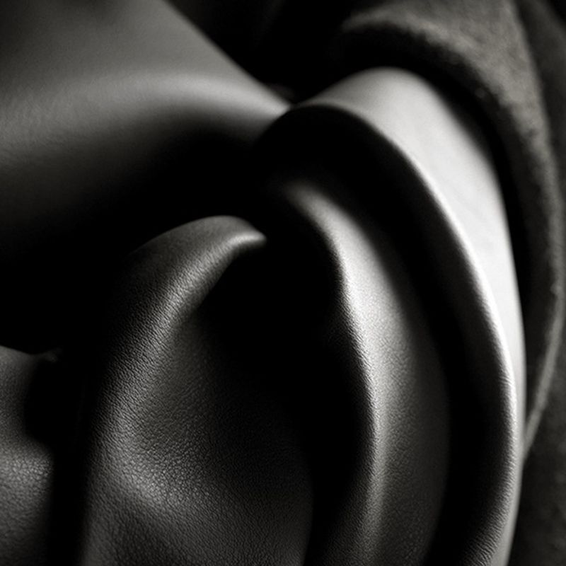 Living Room Contemporary Pillow Top Arm Standard Pillows Sofa Chaise Clearhalo 'furn' 'furn_sofas' 'Furniture' 'furniture_sofas' 'kitchen' 'kitchen_sofas' 'Living Room Furniture' 'Sofa' 'sofas' 1200x1200_3305b61f-dcc2-4627-a39f-39d1b81e0e6c