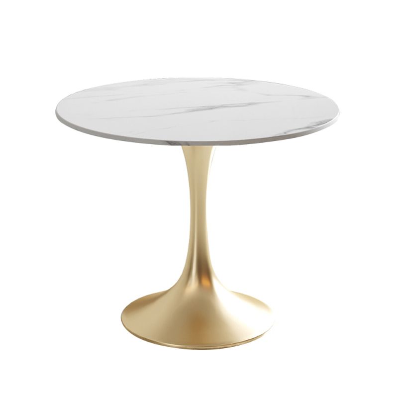 Traditional Luxury Dining Table Round Sintered Stone Dining Table with Tulip Base Clearhalo ' dining_table' 'Dining Tables & Seating' 'Dining Tables' 'furn' 'furn_dining_table' 'Furniture' 'furniture_dining_table' 'Kitchen & Dining Furniture' 'kitchen&dining_furn' 'kitchen' 'kitchen_dining_table' 1200x1200_3357e35c-ea8e-4142-ac61-c154ca52c826