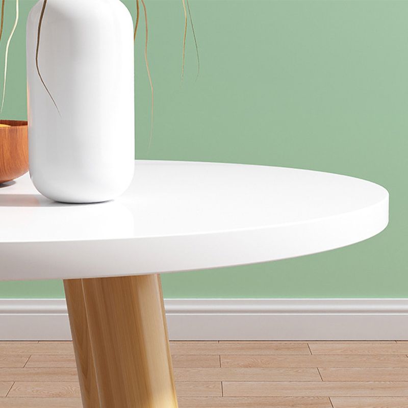 4 Legs Base Design Wood-based Finish Material Round/square Coffee Table Clearhalo 'Coffee & Accent Tables' 'Coffee Tables' 'coffee_tables' 'Furniture' 'furniture_coffee_tables' 'Living Room Furniture' 1200x1200_335b80b5-cf33-4e30-b0ae-9af8e464f827