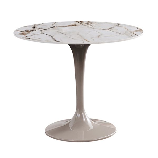Round Shape Tulip Base Table Luxury White Tone Fixed Table with Sintered Stone Clearhalo ' dining_table' 'Dining Tables & Seating' 'Dining Tables' 'furn' 'furn_dining_table' 'Furniture' 'furniture_dining_table' 'Kitchen & Dining Furniture' 'kitchen&dining_furn' 'kitchen' 'kitchen_dining_table' 1200x1200_336de903-93fd-4ac5-98f5-98965d4e9233