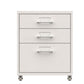 Contemporary Steel Filing Cabinet File Pedestal File Cabinet with Drawers Clearhalo 'Filing Cabinets' 'filling_cabinets' 'furn' 'furn_filling_cabinets' 'Furniture' 'Office Furniture' 1200x1200_33e8cb62-4837-4018-a7c5-40d2101d1639