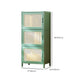Contemporary Green Wood Accent Cabinet Rectangle Grooves Accent Cabinet Clearhalo 'Cabinets & Chests' 'cabinets_chests' 'furn' 'furn_cabinets_chests' 'Furniture' 'Living Room Furniture' 1200x1200_344d323f-a5a7-4174-8c30-9e158b0e55b2