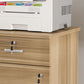 Traditional Wood Cabinet Drawers Storage File Cabinet with Shelves Clearhalo 'Filing Cabinets' 'filling_cabinets' 'furn' 'furn_filling_cabinets' 'Furniture' 'Office Furniture' 1200x1200_34535148-eb60-41b0-a323-60b9412f80a4