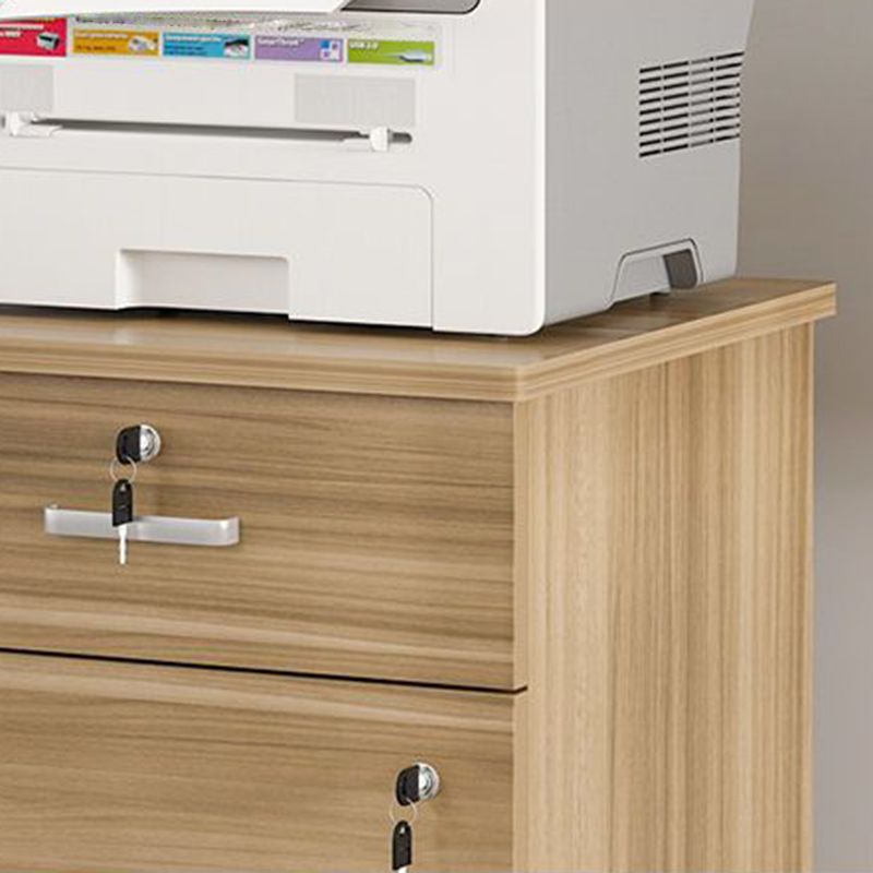 Traditional Wood Cabinet Drawers Storage File Cabinet with Shelves Clearhalo 'Filing Cabinets' 'filling_cabinets' 'furn' 'furn_filling_cabinets' 'Furniture' 'Office Furniture' 1200x1200_34535148-eb60-41b0-a323-60b9412f80a4
