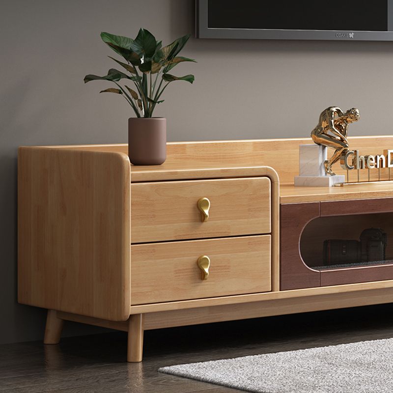 Contemporary Wood TV Stand Enclosed Storage TV Media Stand for Living Room Clearhalo 'furn' 'furn_tv_stands_entertainment_centers' 'Furniture' 'Living Room Furniture' 'TV Stands & Entertainment Centers' 'TV Stands & Media Storage Furniture' 'tv_stands_entertainment_centers' 1200x1200_3470613a-6b63-4a2e-8d0a-82cdd1a2e5ab