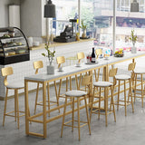 Glam Style Upholstered Barstool Round Low Back Bar Stool with Gold Frame