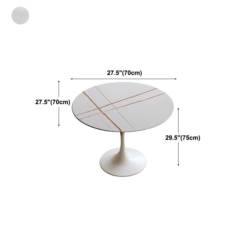 Round Top Dining Table Contemporary Table with Pedestal Base Clearhalo 'Dining Tables & Seating' 'Dining Tables' 'dining_table' 'Furniture' 'furniture_dining_table' 'Kitchen & Dining Furniture' 1200x1200_34c822ae-a665-422c-b088-152298c629f1