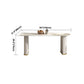 Modern Freeform Dining Table Sintered Stone Table with Double Pedestal Clearhalo ' dining_table' 'Dining Tables & Seating' 'Dining Tables' 'furn' 'furn_dining_table' 'Furniture' 'furniture_dining_table' 'Kitchen & Dining Furniture' 'kitchen&dining_furn' 'kitchen' 'kitchen_dining_table' 1200x1200_34d3a5d0-e03d-4dc1-9f43-9fafac863c36
