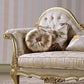 Glam Upholstered Chaise Lounge Couch Wood Chaise Lounge Chair Clearhalo 'Chairs & Seating' 'Chaise Lounge' 'chaise_lounge' 'furn' 'furn_chaise_lounge' 'Furniture' 'Living Room Furniture' 1200x1200_34de8b5f-96f4-4498-8504-a2ac6ce3b134