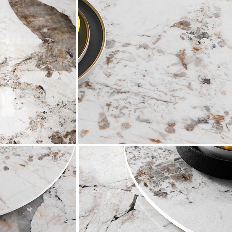 Round Sintered Stone Dining Table Stone Table in White with Pedestal Clearhalo 'Dining Tables & Seating' 'Dining Tables' 'dining_table' 'furn' 'furn_dining_table' 'Furniture' 'Kitchen & Dining Furniture' 1200x1200_3523048a-b9d3-44be-b1d9-04a5c7336a18