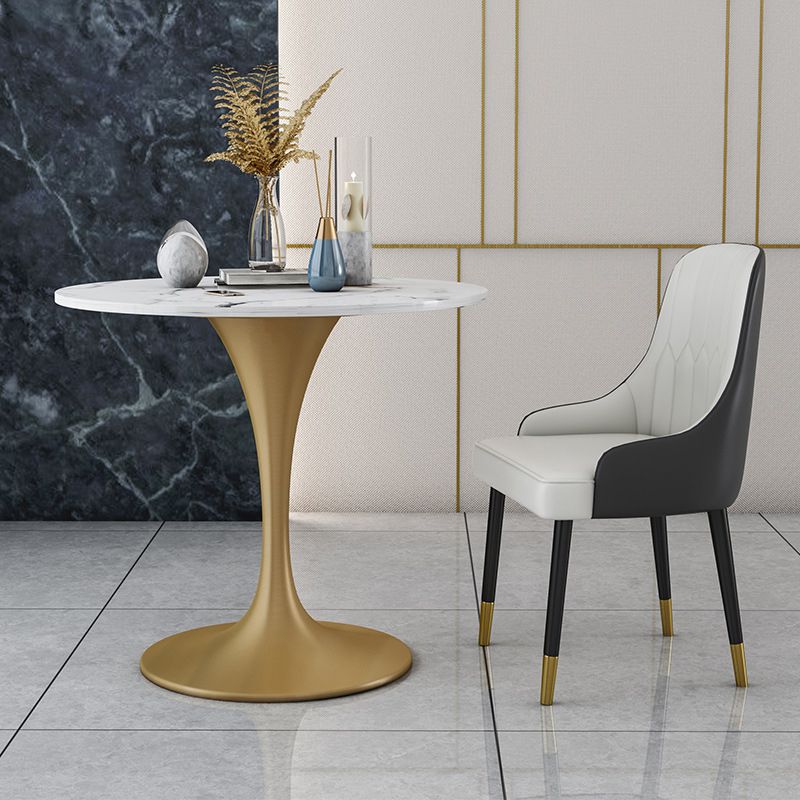 Glam Faux Marble Dining Table Set Round 1/2/4/5 Pieces Dining Set Clearhalo 'Dining Room Sets' 'Dining Tables & Seating' 'dining_room_set' 'furn' 'furn_dining_room_set' 'Furniture' 'Kitchen & Dining Furniture' 1200x1200_3599c8e5-0814-48d0-8aee-f901d633833c