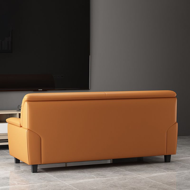 Contemporary Pillow Top Arm Sofa Single Cushion Seat for Living Room Clearhalo 'furn' 'furn_sofas' 'Furniture' 'furniture_sofas' 'Living Room Furniture' 'Sofa' 'sofas' 1200x1200_359f05cf-cd87-4e04-b209-ec2eda130ffe