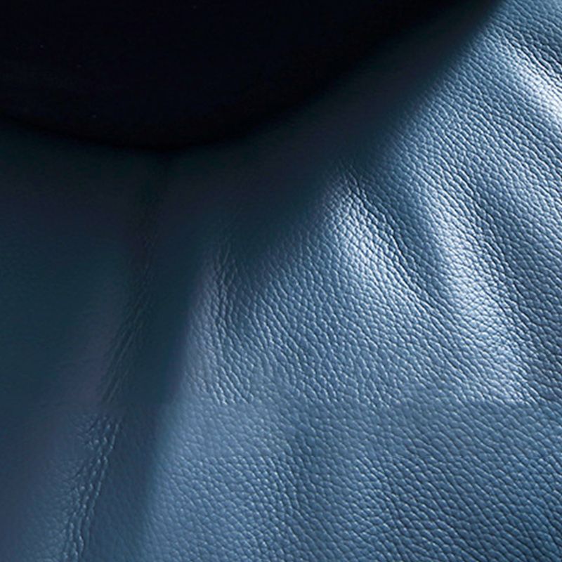 Modern Tight Back Genuine Leather Sectionals, 67.72" W  Sectional Sofa  in Brone