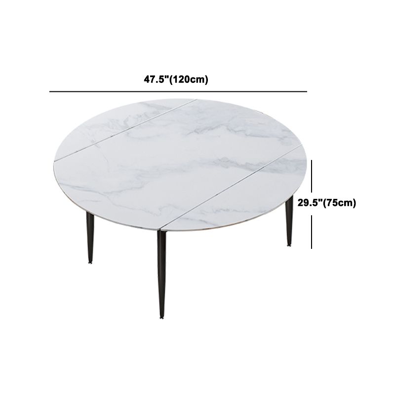 Contemporary Style Round Dining Table Set 1/4/6/7 Pieces Sintered Stone Dining Set Clearhalo 'Dining Room Sets' 'Dining Tables & Seating' 'dining_room_set' 'furn' 'furn_dining_room_set' 'Furniture' 'Kitchen & Dining Furniture' 1200x1200_35f1f7f2-9b40-4402-b2f7-b587b6a063ba