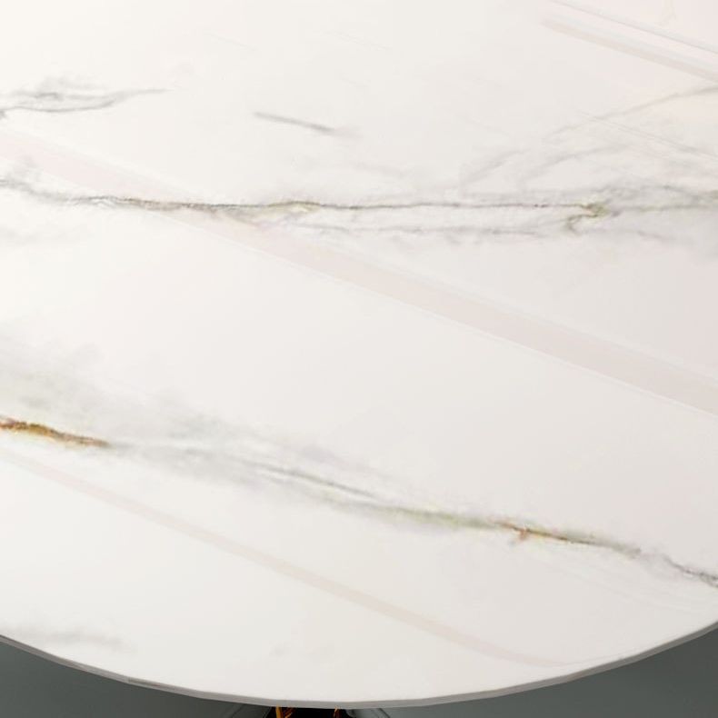 Contemporary Round Turntable Faux Leather Dining Set Stone 1/4/7 Pieces Dining Furniture Clearhalo 'Dining Room Sets' 'Dining Tables & Seating' 'dining_room_set' 'furn' 'furn_dining_room_set' 'Furniture' 'Kitchen & Dining Furniture' 1200x1200_36c0e2d3-a19a-4bda-9aba-132470c3e845