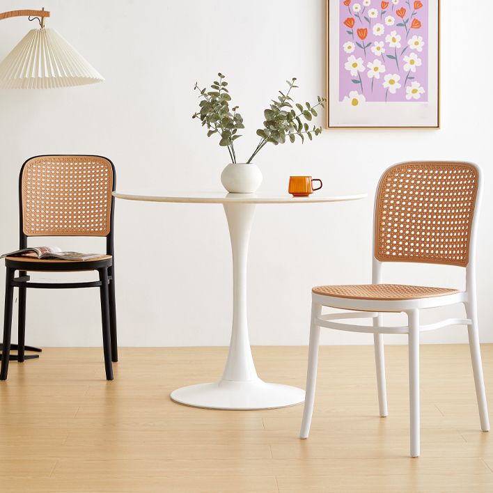 Indoor Contemporary Side Chair Open Back Plastic Dining Room Chair Clearhalo ' kitchen&dining_furn' 'Dining Chairs' 'Dining Tables & Seating' 'dining_chair' 'furn' 'furn_dining_chair' 'Furniture' 'furniture_dining_chair' 'Kitchen & Dining Furniture' 'kitchen' 1200x1200_3722d615-b18b-409a-a6f4-c4855662d0b6