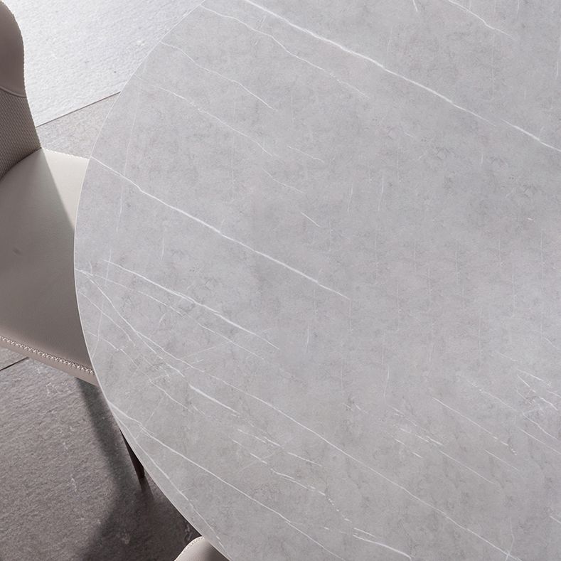 Stone Glam Round Dining Table Matte Finish Pedestal Table for Kitchen Clearhalo 'Dining Tables & Seating' 'Dining Tables' 'dining_table' 'furn' 'furn_dining_table' 'Furniture' 'furniture_dining_table' 'Kitchen & Dining Furniture' 'kitchen' 'kitchen_dining_table' 1200x1200_3742a8b1-eb04-47af-bbbe-2015e2885526