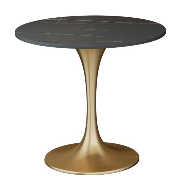 Round Sintered Stone Dining Table Traditional Luxury Dining Table with Tulip Base Clearhalo 'Dining Tables & Seating' 'Dining Tables' 'dining_table' 'furn' 'furn_dining_table' 'Furniture' 'furniture_dining_table' 'Kitchen & Dining Furniture' 'kitchen' 'kitchen_dining_table' 1200x1200_374d5f6d-a3d9-458a-90cc-9933a9ef1618