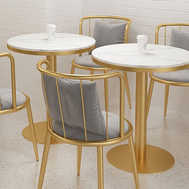 1/3 Pcs Metal Glam Dining Room Set with Round Table and Pedestal Base Dining Set Clearhalo 'Dining Room Sets' 'Dining Tables & Seating' 'dining_room_set' 'furn' 'furn_dining_room_set' 'Furniture' 'furniture_dining_room_set' 'Kitchen & Dining Furniture' 'kitchen&dining_furn' 'kitchen' 1200x1200_3762befb-6295-49e5-800e-e0890e1bb476
