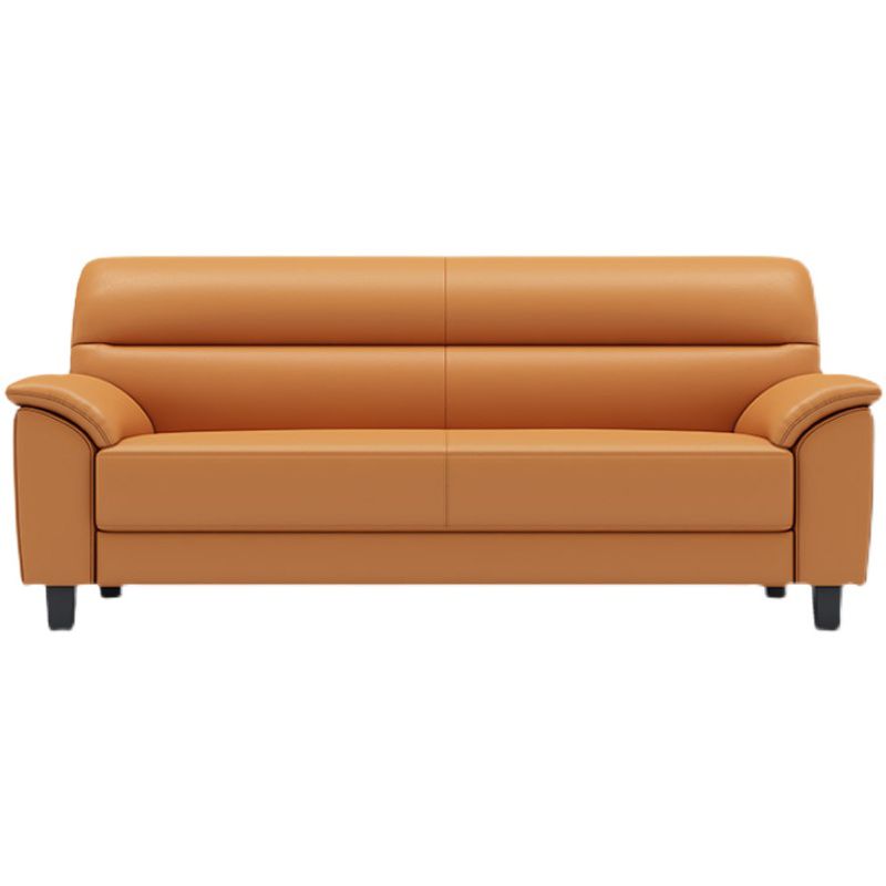 Sewn Pillow Back Faux Leather Pillow Top Arm Sofa with Stain Resistant Clearhalo 'furn' 'furn_sofas' 'Furniture' 'furniture_sofas' 'kitchen' 'kitchen_sofas' 'Living Room Furniture' 'Sofa' 'sofas' 1200x1200_378ccb14-1e62-4398-a0d6-1cf7bc956c3c