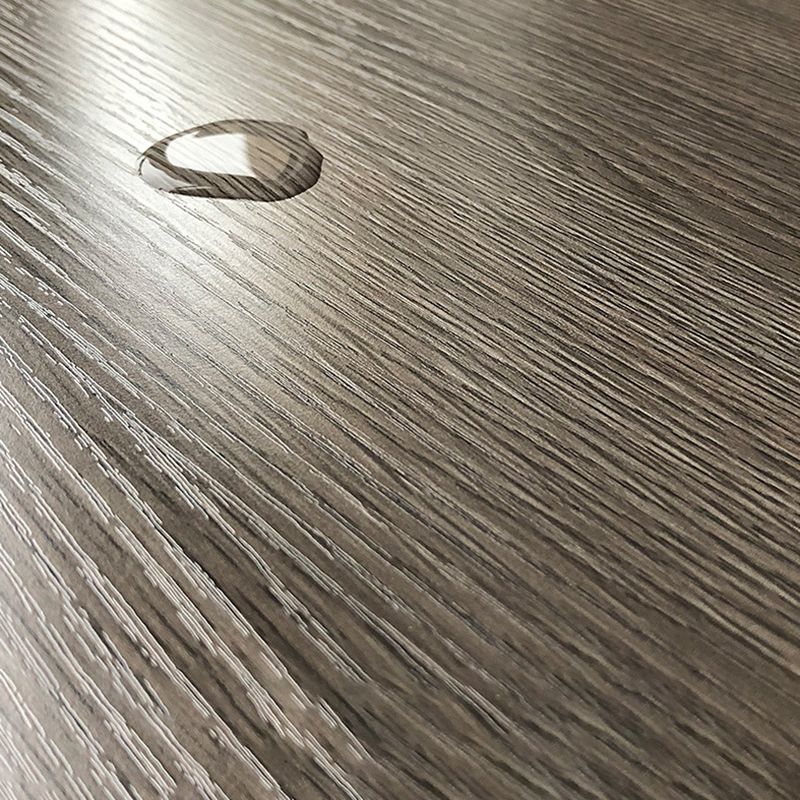 Contemporary Bookcase Closed Back Vertical Bookshelf with Doors