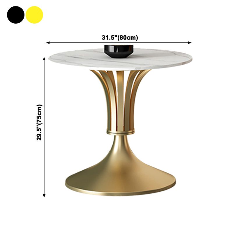 Sintered Stone Dining Table Luxury Style Single Pedestal Base Table for Dining Room Clearhalo ' dining_table' 'Dining Tables & Seating' 'Dining Tables' 'furn' 'furn_dining_table' 'Furniture' 'furniture_dining_table' 'Kitchen & Dining Furniture' 'kitchen&dining_furn' 'kitchen' 'kitchen_dining_table' 1200x1200_37e67059-ac70-4624-b28a-53c0ad970004