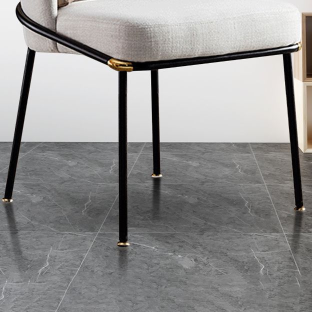 Modern Style Chairs Dining Armless Chairs with Metal Legs for Kitchen Clearhalo ' kitchen&dining_furn' 'Dining Chairs' 'Dining Tables & Seating' 'dining_chair' 'furn' 'furn_dining_chair' 'Furniture' 'furniture_dining_chair' 'Kitchen & Dining Furniture' 'kitchen' 1200x1200_37f11e1e-e121-4d52-84f9-8f27437fe0fc