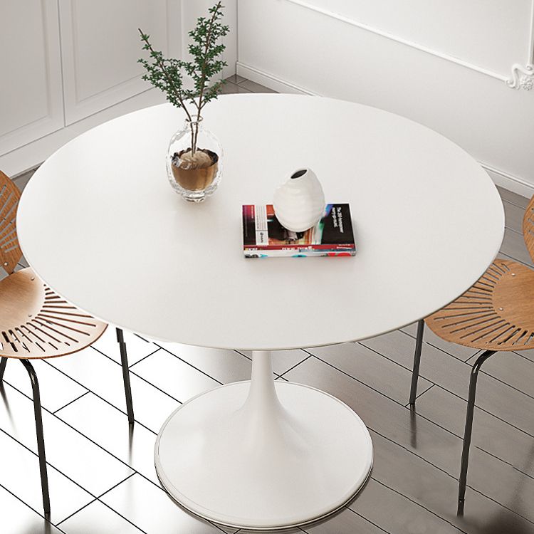 Stone Round Top Table Contemporary Dining Table with Pedestal Base Clearhalo 'Dining Tables & Seating' 'Dining Tables' 'dining_table' 'furn' 'furn_dining_table' 'Furniture' 'furniture_dining_table' 'Kitchen & Dining Furniture' 'kitchen' 'kitchen_dining_table' 1200x1200_380317e4-dd47-4cde-965a-b7fada34c6e2