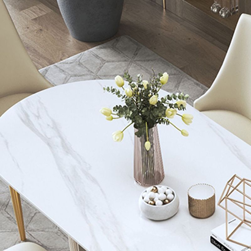 Contemporary Sintered Stone Dining Table Oval Double Pedestal Table for Home Use Clearhalo 'Dining Tables & Seating' 'Dining Tables' 'dining_table' 'furn' 'furn_dining_table' 'Furniture' 'Kitchen & Dining Furniture' 1200x1200_384932fb-f532-487e-a321-b7df3cd0152d