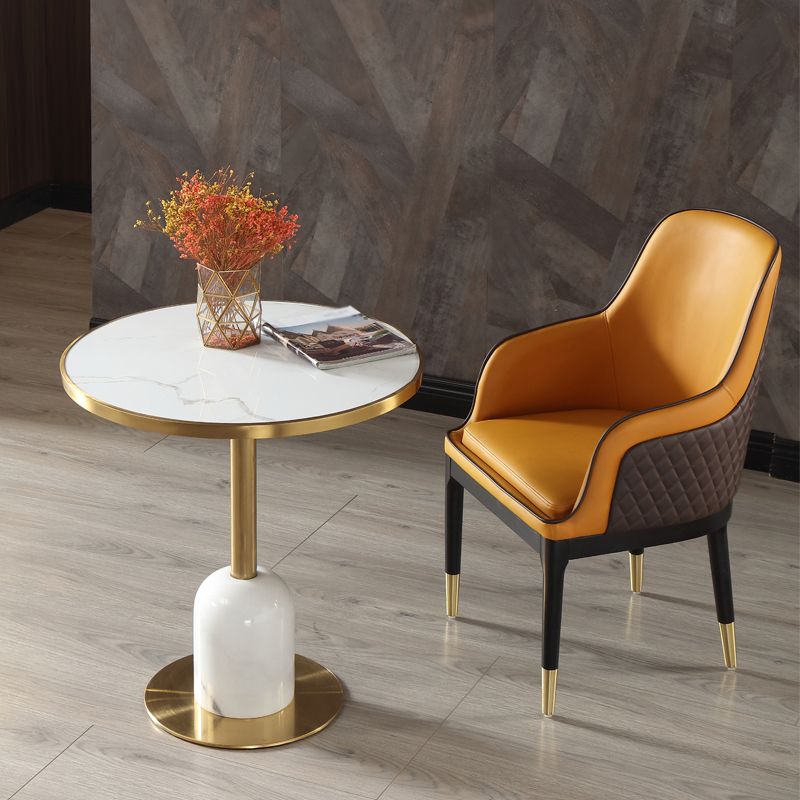 Round Stone Dining Table Traditional Luxury Dining Room Collection with Pedestal Base Clearhalo ' dining_table' 'Dining Tables & Seating' 'Dining Tables' 'furn' 'furn_dining_table' 'Furniture' 'furniture_dining_table' 'Kitchen & Dining Furniture' 'kitchen&dining_furn' 'kitchen' 'kitchen_dining_table' 1200x1200_3861f571-4953-4cef-9ec1-c73ae8a42634