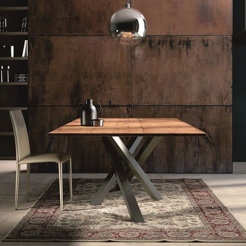 Rectangle Luxury Style Dining Table Solid Wood Fixed Table for Kitchen Clearhalo ' dining_table' 'Dining Tables & Seating' 'Dining Tables' 'furn' 'furn_dining_table' 'Furniture' 'furniture_dining_table' 'Kitchen & Dining Furniture' 'kitchen&dining_furn' 'kitchen' 'kitchen_dining_table' 1200x1200_3891df01-ef06-455c-8d35-275082445035