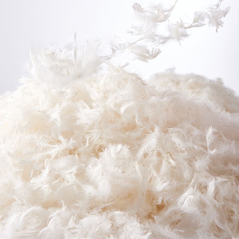 Contemporary Square Arm Settee Couch with Pillows in Beige for 1/2/3/4people Clearhalo 'furn' 'furn_sofas' 'Furniture' 'Living Room Furniture' 'Sofa' 'sofas' 1200x1200_38e70395-6c58-4efd-ab10-6306d6cb1642