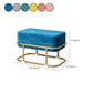 Multi Colors Ottoman Removable Slipcover Upholstered Velvet Ottoman Clearhalo 'furn' 'furn_ottomans_poufs' 'Furniture' 'Living Room Furniture' 'Ottomans & Poufs' 'ottomans_poufs' 1200x1200_38f3c7aa-b5b9-4021-8370-88674d0ba6f4