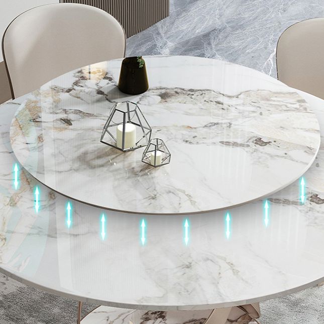 Glam Round Shape White Table Sintered Stone Standard Dining Table with Pedestal Base Clearhalo ' dining_table' 'Dining Tables & Seating' 'Dining Tables' 'furn' 'furn_dining_table' 'Furniture' 'furniture_dining_table' 'Kitchen & Dining Furniture' 'kitchen&dining_furn' 'kitchen' 'kitchen_dining_table' 1200x1200_38f5db70-bd75-4d62-b462-91a922572c79