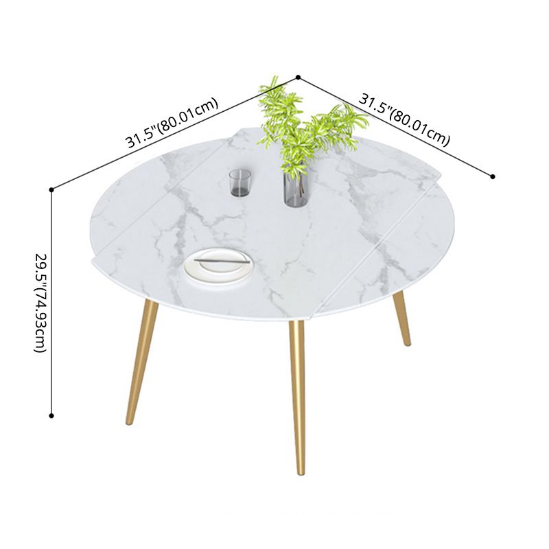 Scandinavian Sintered Stone Top Dining Set Round Table Dining Furniture with Drop Leaf Clearhalo 'Dining Room Sets' 'Dining Tables & Seating' 'dining_room_set' 'furn' 'furn_dining_room_set' 'Furniture' 'furniture_dining_room_set' 'Kitchen & Dining Furniture' 'kitchen&dining_furn' 'kitchen' 1200x1200_39006c4a-6469-47ce-942b-6341ece4208c
