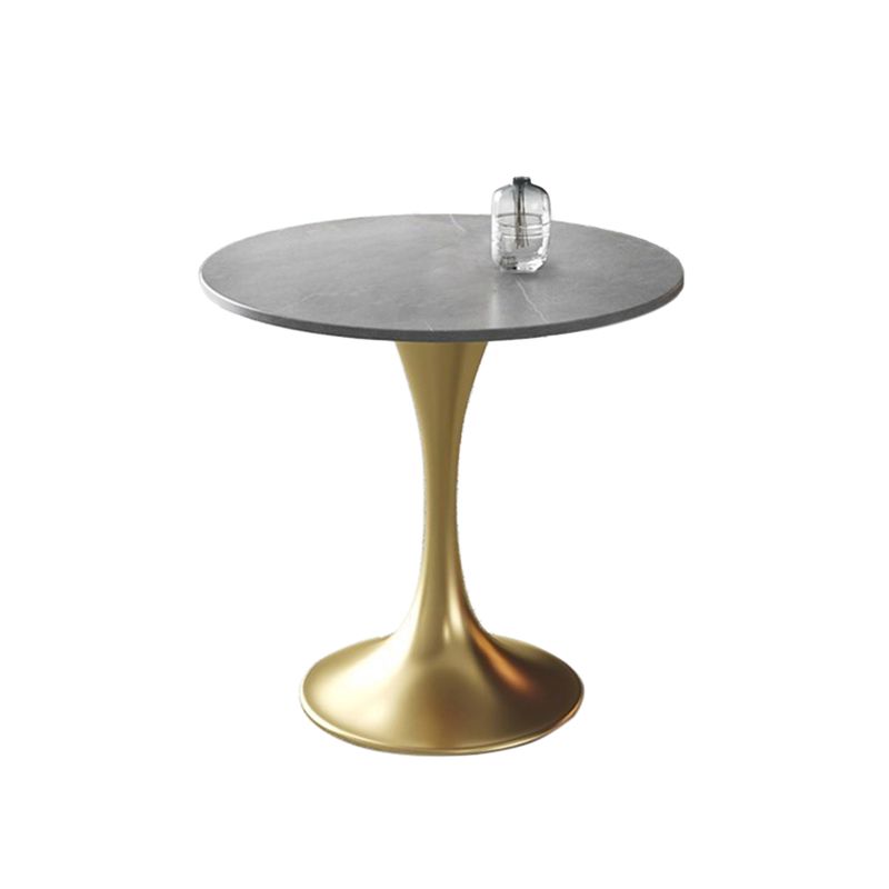 Traditional Luxury Dining Table Sintered Stone Tulip Table for Dining Room Clearhalo 'Dining Tables & Seating' 'Dining Tables' 'dining_table' 'furn' 'furn_dining_table' 'Furniture' 'Kitchen & Dining Furniture' 1200x1200_39299f30-7a02-44db-a59d-55b25121281d