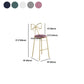 Glam Armless Backrest Counter Stool Iron Cashier Bar Stool with Cushion and Pedal Clearhalo 'Bar Furniture' 'Bar Stools' 'bar_stools' 'furn' 'furn_bar_stools' 'Furniture' 'Kitchen & Dining Furniture' 1200x1200_393ebf66-355f-44f8-a9f6-bf68478aea54