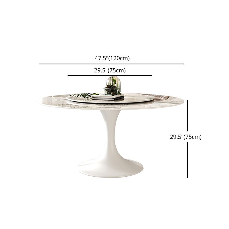 Modern Round Dinette Set 1/4/5/7 Pieces Sintered Stone Dining Table Set with Turntable Clearhalo 'Dining Room Sets' 'Dining Tables & Seating' 'dining_room_set' 'furn' 'furn_dining_room_set' 'Furniture' 'Kitchen & Dining Furniture' 1200x1200_3959068b-625a-489b-bd94-16c3142ff6ce
